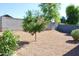 Low maintenance backyard with block wall fencing and desert landscaping at 2745 W Jessica Ln, Phoenix, AZ 85041
