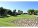 Expansive green lawn area with mature trees, walking path, and rock feature within the community park at 2745 W Jessica Ln, Phoenix, AZ 85041