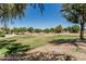 An expansive green space with mature trees, providing a serene and natural outdoor environment for residents at 30 W Sheffield Ave, Gilbert, AZ 85233