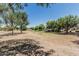 Expansive green space with mature trees and landscaping, offering a serene and natural environment at 30 W Sheffield Ave, Gilbert, AZ 85233