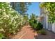 Charming walkway lined with vibrant oleander bushes and lush greenery leading towards the building at 5221 N 24Th St # 103, Phoenix, AZ 85016