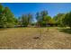 Vast backyard offers endless possibilities, framed by mature trees for privacy at 7804 S 15Th Ave, Phoenix, AZ 85041