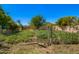 Vegetable garden in backyard featuring rows of plants with lush green leaves under blue skies at 7804 S 15Th Ave, Phoenix, AZ 85041