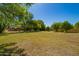 Extensive backyard featuring established trees, providing a private and green outdoor space at 7804 S 15Th Ave, Phoenix, AZ 85041
