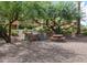 Outdoor grill and picnic area with stone countertops, modern appliances, and shade trees in the community at 8055 E Thomas Rd # 104, Scottsdale, AZ 85251