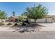 Well-manicured single-story home with desert landscaping and mature trees in the front yard and a 3-car garage at 921 N Oxford Ln, Chandler, AZ 85225