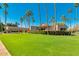 Contemporary home with mature landscaping, palm trees, and a well-manicured lawn at 9733 W Mcrae Way, Peoria, AZ 85382