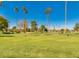 Beautiful golf course showcasing well-maintained greens, palm trees, and clear blue skies at 9733 W Mcrae Way, Peoria, AZ 85382