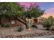 Beautiful desert home with mature landscaping, including cacti and native plants at 9913 E Quarry Trl, Scottsdale, AZ 85262
