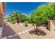 Well maintained backyard featuring desert landscaping and diverse plant life at 13052 W Mine Trl, Peoria, AZ 85383