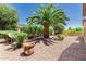 Lush backyard with palm trees, shrubs, and decorative stone landscaping at 13052 W Mine Trl, Peoria, AZ 85383