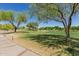 Picturesque golf course featuring mature trees, lush green fairway, and a smooth cart path at 13052 W Mine Trl, Peoria, AZ 85383