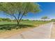 Scenic golf course view with mature shade tree, lush fairway, and clear blue sky at 13052 W Mine Trl, Peoria, AZ 85383