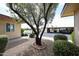 A landscaped exterior view showcases a decorative tree and well-maintained shrubs at 13618 N 98Th Ave # C, Sun City, AZ 85351