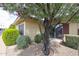 A charming front yard features lush green bushes and a decorative tree with pink flowers at 13618 N 98Th Ave # C, Sun City, AZ 85351