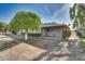 Expansive backyard featuring a covered patio with seating, manicured hedges, and a mature shade tree at 17668 N Del Webb Blvd, Sun City, AZ 85373