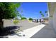 Spacious backyard with gravel, palm trees, and a RV, ideal for outdoor living and storage at 1806 W Rosewood Ct, Chandler, AZ 85224