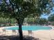 Community pool with ample seating surrounded by mature trees, offering a relaxing oasis at 1823 E Chelsea Ln # 106, Gilbert, AZ 85295