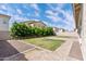 Beautiful backyard with green grass and trees lining the fence, offering shade and privacy at 18929 W Windsor Blvd, Litchfield Park, AZ 85340