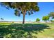 Scenic view of the lush green golf course with mature trees and clear blue skies, showcasing the community's beauty at 19892 N Shadow Mountain Dr, Surprise, AZ 85374