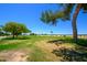 Picturesque golf course view with a mix of trees and green grass beneath a bright blue sky at 19892 N Shadow Mountain Dr, Surprise, AZ 85374