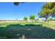Beautiful lush green golf course and mature trees create an inviting and serene atmosphere at 19892 N Shadow Mountain Dr, Surprise, AZ 85374