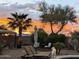 Relaxing backyard with desert landscaping, lounge chairs, palm tree, and vibrant sunset at 43036 W Anne Ln, Maricopa, AZ 85138