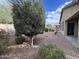 The landscaped backyard includes a mature shade tree, gravel groundcover, and lush green bushes at 4440 S Leisure Way, Gilbert, AZ 85297