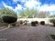 A full view of the spacious, fenced backyard featuring gravel groundcover and assorted greenery at 4440 S Leisure Way, Gilbert, AZ 85297