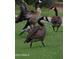 Flock of geese in a grassy community space at 4440 S Leisure Way, Gilbert, AZ 85297