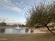 Scenic view of a pond with a fountain, mature tree, and homes in the background under a cloudy sky at 4440 S Leisure Way, Gilbert, AZ 85297