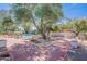 Expansive backyard with a mature shade tree, brick-tiled patio, and lush plantings at 5539 E Dahlia Dr, Scottsdale, AZ 85254