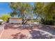 Relaxing backyard retreat featuring a large shade tree and brick-tiled patio at 5539 E Dahlia Dr, Scottsdale, AZ 85254