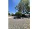 Spacious backyard featuring mature trees, gravel and blue skies at 9807 W Mcrae Way, Peoria, AZ 85382
