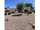 Desert landscaping with native trees and cactus at 9807 W Mcrae Way, Peoria, AZ 85382