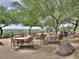 Inviting outdoor seating area surrounded by mature trees, perfect for enjoying a meal at 11462 E Kora Way, Scottsdale, AZ 85255