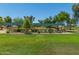 Outdoor picnic area with covered tables, barbecue grills, and well-maintained green lawn for community enjoyment at 18522 N Mica Dr, Sun City West, AZ 85375