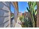 Desert landscape featuring cacti, flowering plants, and a privacy fence along the side of the house at 1855 N Rim Rock Dr, Casa Grande, AZ 85122
