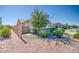 Landscaped front yard featuring decorative gravel and mature trees, providing a serene and inviting curb appeal at 21551 E Waverly Ct, Queen Creek, AZ 85142