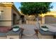 Charming front exterior featuring a lovely tree, a gated entrance, and potted plants at 23213 N Del Monte Dr, Sun City West, AZ 85375