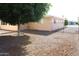Spacious yard with mature tree offering shade with a gated area on the side of the home at 235 N 61St Pl, Mesa, AZ 85205