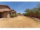 Large backyard featuring a privacy fence and potential for outdoor enjoyment at 25667 W Primrose Ln, Buckeye, AZ 85326