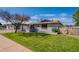 Charming single-story home featuring well-maintained lawn, mature tree, and covered entryway at 3408 W Carol Ave, Phoenix, AZ 85051