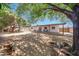 Large backyard featuring a covered patio, storage shed, and mature landscaping with ample space at 4808 W Shaw Butte Dr, Glendale, AZ 85304