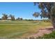 Expansive golf course with green grass, a path, and a variety of desert trees at 7705 E Doubletree Ranch Rd # 8, Scottsdale, AZ 85258
