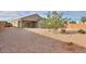Spacious gravel backyard with minimal landscaping, featuring a view of the home's rear exterior at 1127 E Tyler Ln, Casa Grande, AZ 85122