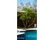 Lush landscaping surrounds the pool area, creating a private and serene outdoor oasis at 12937 W Calle De Sol --, Peoria, AZ 85383