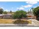 Front exterior of home with a mature shade tree and a well-maintained lawn at 1308 S Spur --, Mesa, AZ 85204