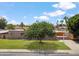 Well-maintained front yard with a mature shade tree, offering curb appeal at 1308 S Spur --, Mesa, AZ 85204