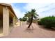 Charming backyard featuring desert landscaping, a mature palm tree and an outdoor patio at 4081 N 156Th Dr, Goodyear, AZ 85395